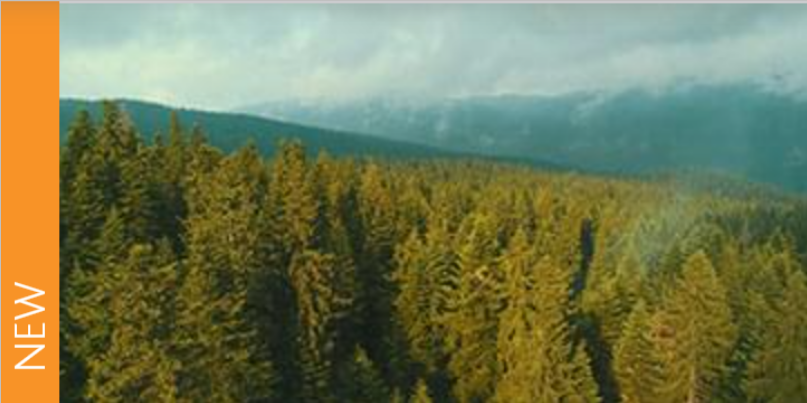 The Principles of ESG Solutions